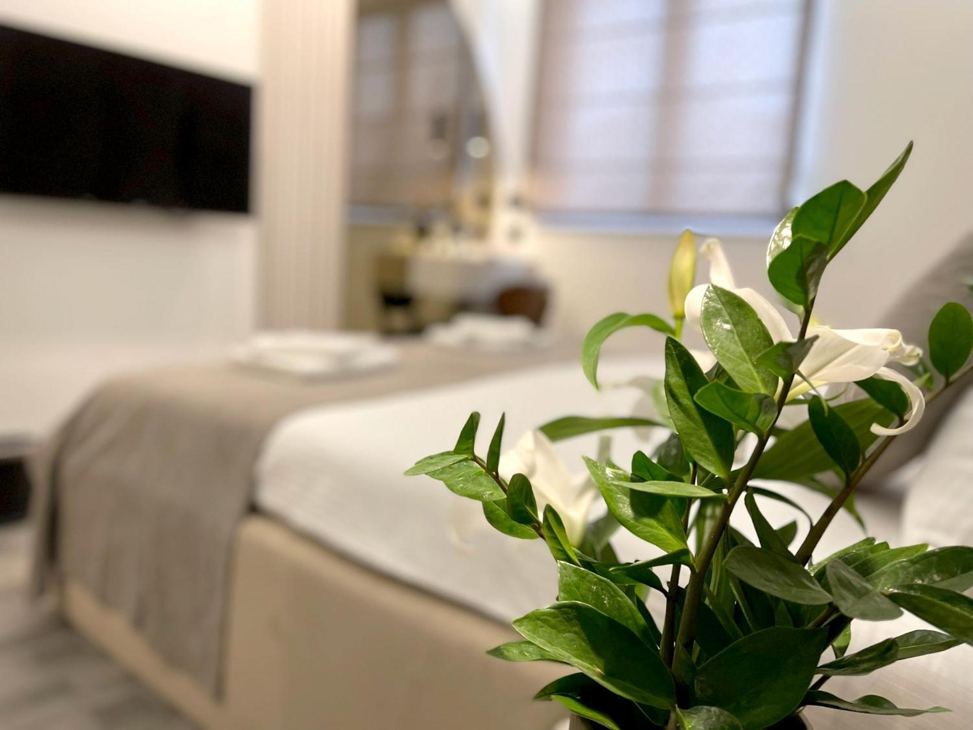 Hotel Npl Code Naselje Starosjedilaca エクステリア 写真