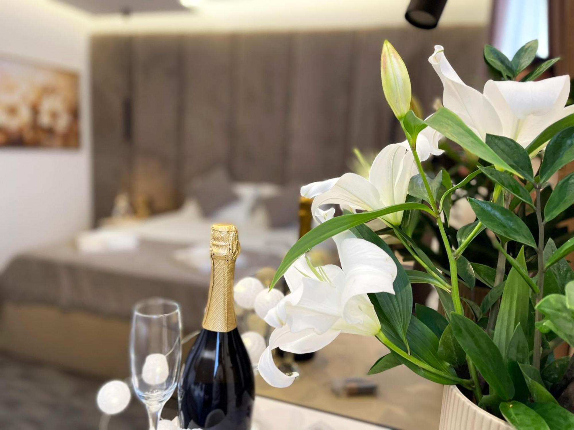 Hotel Npl Code Naselje Starosjedilaca エクステリア 写真